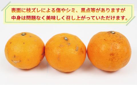 なつみ 訳あり 冷蔵なつみ 3kg  SS ~ Sサイズ 清五郎農園 完熟 甘い 南津海 果物 くだもの フルーツ 柑橘 みかん mikan ミカン デザート 果汁 爽やか 愛媛ミカン 愛媛みかん 蜜柑 オレンジ 産地直送 農家直送 数量限定 国産 愛媛 宇和島 B010-156003