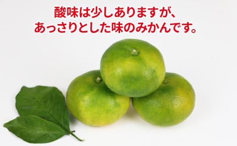 【先行予約】愛媛みかん 極早生 家庭用 家庭用 10kg 先行予約 ワールドファーマーズ 蜜柑 mikan 甘い 美味しい 農家直送 産地直送 数量限定 国産 宇和島 B010-024015