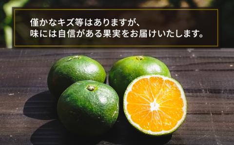 蜜柑 愛媛 極早生 みかん 5kg 先行予約 青切り おおいた 早生 コルレオファーム 先行予約 極早生みかん mikan 温州みかん うんしゅうみかん 温州 うんしゅう 蜜柑 さっぱり 爽やか 甘味 酸味 美味しい 果物 フルーツ 柑橘 農家直送 産地直送 数量限定 国産 宇和島  B010-145002