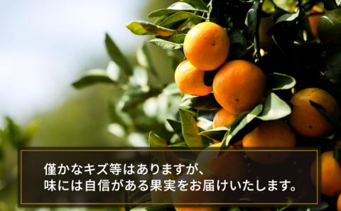 蜜柑 愛媛  宮川早生 5kg コルレオファーム サイズ 不揃い 美味しい 早生 甘い 酸味 温州 うんしゅう 温州みかん mikan 果物 くだもの フルーツ 柑橘 農家直送 産地直送 数量限定 国産 宇和島 B010-145003