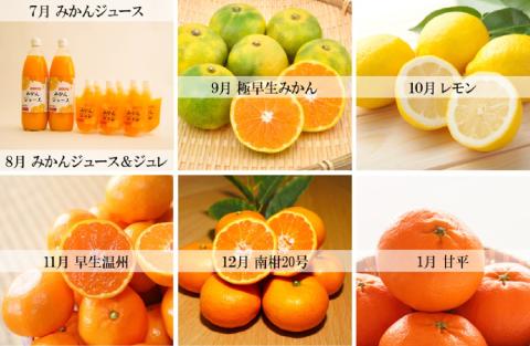 柑橘定期便 7回 みかん 山本みかん B060-038008
