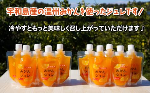 みかん ゼリー 温州みかん ジュレ 10個 本気の みかんゼリー 山本みかん 先行予約 南柑20号 温州 愛媛みかん 愛媛蜜柑 愛媛ミカン mikan 南夏ギフト フルーツゼリー デザート スイーツ 果物 くだもの フルーツ 農家直送 産地直送 数量限定 国産 愛媛 宇和島 J012-038007