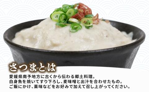 さつま 伊予さつま 60g × 14個 計 14食分 河野鮮魚店 さつま飯 さつま汁 真鯛 鯛 たい 白身魚 魚 魚介 味噌 みそ 麦味噌 麦みそ 出汁 だし 丼 ごはん ご飯 薬味 おすすめ 冷凍 簡単調理 小分け パック 郷土料理 特産品 国産 愛媛 宇和島 D010-177001