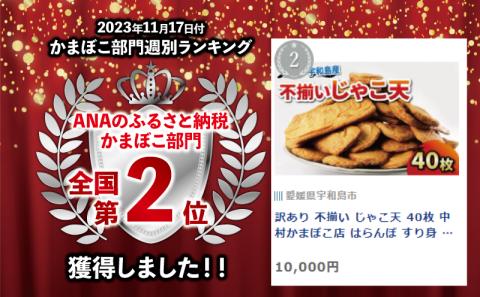 【訳あり】 不揃い じゃこ天 40枚 中村かまぼこ店 練り物 名産 揚巻 じゃこてん 竹輪 かまぼこ 蒲鉾 おつまみ C012-013005