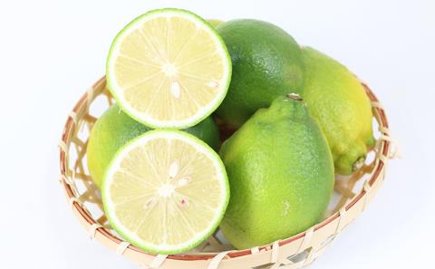 レモン 4kg 防腐剤 ワックス 不使用 つばさ農園 先行予約 B010-048012