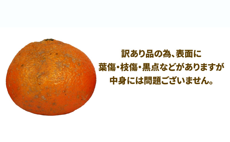 愛媛みかん 訳あり 伊予柑 10kg ワールドファーマーズ わけあり いよかん 愛媛ミカン 愛媛蜜柑 訳ありみかん 訳あり蜜柑 mikan 果物 くだもの フルーツ 柑橘 みかん 蜜柑 数量限定 産地直送 国産 愛媛 宇和島 B010-024022