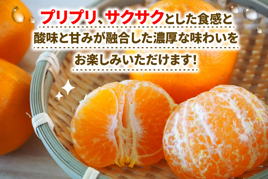 ぽんかん 5kg ワールドファーマーズ 先行予約 ポンカン みかん mikan 愛媛ミカン 愛媛蜜柑 愛媛みかん 果物 くだもの フルーツ 柑橘 甘い ジューシー 果肉 みかん 蜜柑 数量限定 産地直送 農家直送 国産 愛媛 宇和島 B010-024031