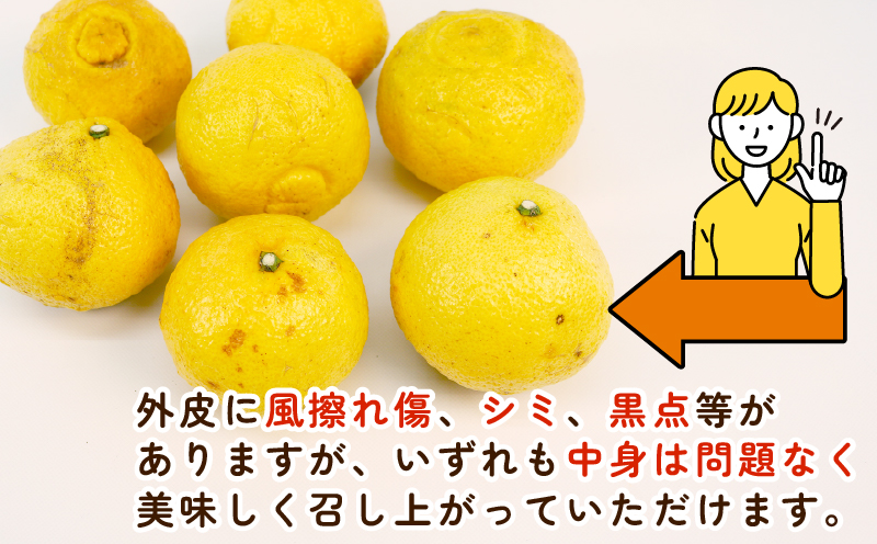 訳あり はるか みかん 約5.5kg ふるくとファーム サイズ混合 かなこちゃん はるかみかん 先行予約 果物 くだもの フルーツ 甘い 爽やか 美味しい 柑橘 蜜柑 mikan 愛媛ミカン 愛媛蜜柑 愛媛みかん 訳アリ 訳あり品 訳有り わけあり 数量限定 産地直送 国産 愛媛 宇和島 B010-037007