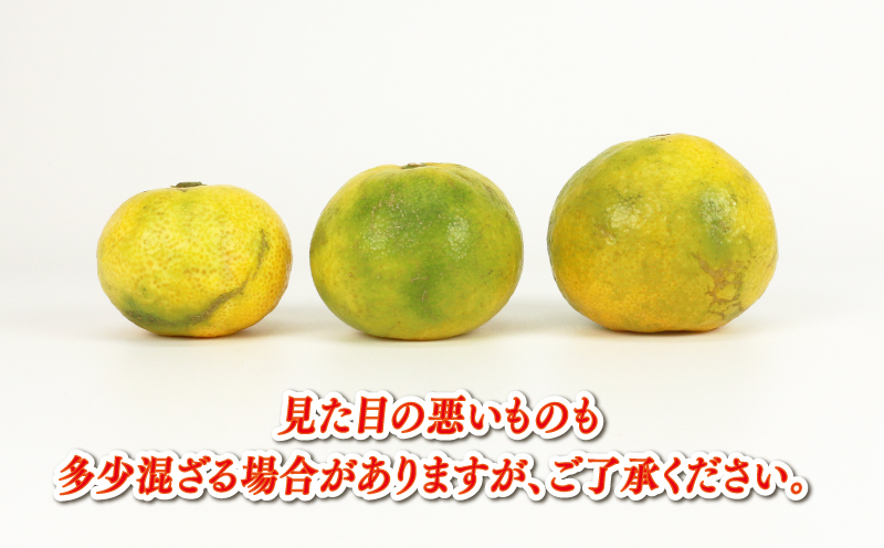 極早生みかん 家庭用 9kg サイズ不揃い 兵頭農園 先行予約 みかん mikan 愛媛ミカン 愛媛みかん 愛媛蜜柑 極早生 温州みかん 温州 精品 規格外混合 不揃い 果物 くだもの フルーツ 柑橘 蜜柑 産地直送 農家直送 数量限定 国産 愛媛 宇和島 B010-055007