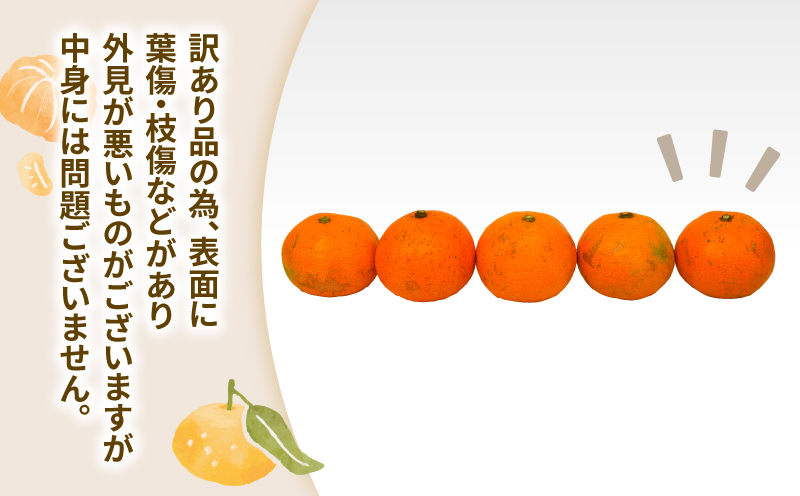 みかん 訳あり 小玉 温州みかん 早生 10kg 玉津柑橘倶楽部 早生温州 温州 みかん 早生みかん 小玉みかん 甘い 果物 くだもの フルーツ 柑橘 mikan 蜜柑 愛媛蜜柑 愛媛みかん わけあり サイズ 不揃い 産地直送 数量限定 国産 愛媛 宇和島 B010-072030