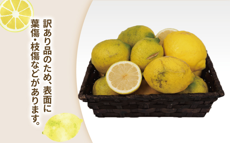 訳あり レモン 約5kg 玉津柑橘倶楽部 先行予約 サイズ 不揃い 訳アリ れもん 檸檬 remon 酸味 爽やか 果実 サワー ジュース チューハイ 果物 くだもの フルーツ 柑橘 愛媛蜜柑 愛媛みかん わけあり 訳あり品 産地直送 数量限定 国産 愛媛 宇和島 B010-072045