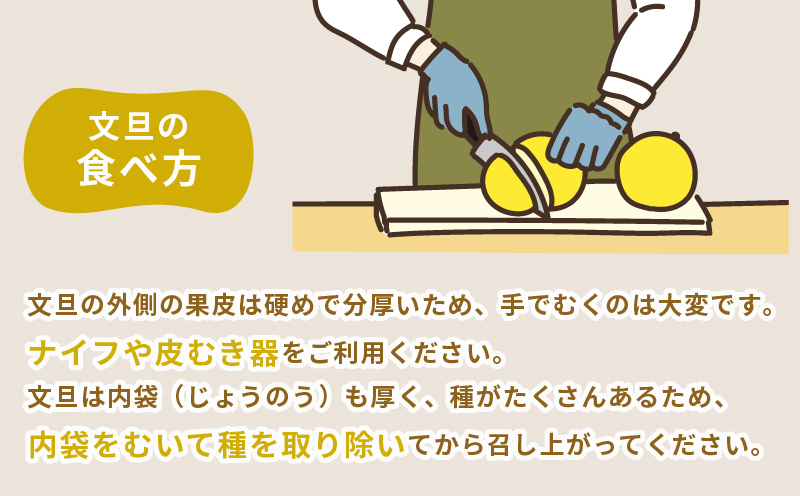 文旦 4kg 家庭用 先行予約 ハマみかん ミカン ぶんたん 果物 くだもの フルーツ 柑橘 かんきつ みかん 蜜柑 mikan  愛媛ミカン 愛媛蜜柑 愛媛みかん 農家直送 産地直送 数量限定 国産 愛媛 宇和島 B010-075003