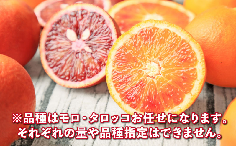 ブラッドオレンジ モロ タロッコ 品種 お任せ 2kg 家庭用 フレッシュつちやま ブラッド オレンジ 果物 くだもの フルーツ 柑橘 みかん 愛媛みかん 愛媛蜜柑 愛媛ミカン 愛媛県産 吉田みかん みかん 蜜柑 産地直送 数量限定 国産 愛媛 宇和島 B010-096010