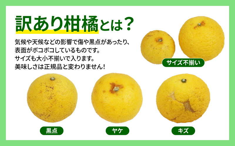 【訳あり】 黄金柑 3kg マル南フルーツ 先行予約 おうごんかん みかん B010-106010