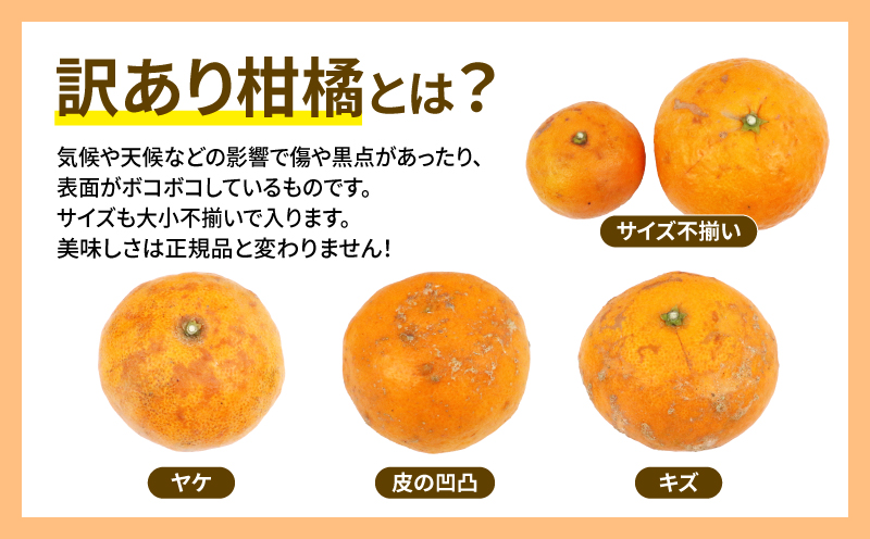 訳あり なつみ みかん 5kg 初夏のみかん マル南フルーツ 先行予約 サイズ 不揃い みかん 蜜柑 南津海 果物 くだもの フルーツ 旬 高級 ブランド 希少 柑橘 産地直送 数量限定 先行予約 国産 愛媛 宇和島 B010-106012