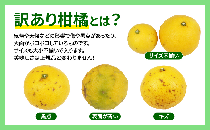 訳あり 日向夏 みかん 5kg マル南フルーツ 先行予約 不揃い サイズ混合 わけあり 果物 くだもの フルーツ 柑橘 みかん 蜜柑 数量限定 先行予約 産地直送 国産 愛媛 宇和島 B010-106013