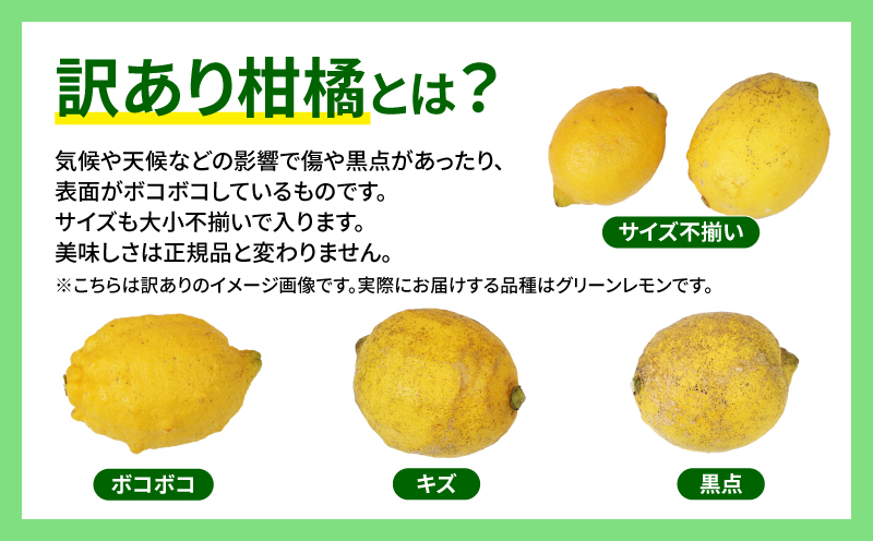 国産レモン 檸檬 レモン 訳あり グリーンレモン 5kg マル南フルーツ remon 愛媛県産レモン 先行予約 わけあり れもん 檸檬 レモン果汁 酸味 高級 希少 安心 果物 くだもの ビタミン 健康 フルーツ 柑橘 産地直送 数量限定 国産 愛媛 宇和島 B010-106016