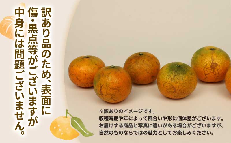 訳あり みかん 南柑20号 9kg マル南フルーツ B010-106018