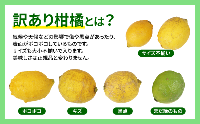 訳あり 檸檬 5kg マル南フルーツ 先行予約 不揃い わけあり レモン れもん レモン果汁 酸味 高級 果物 くだもの ビタミン 健康 ダイエット フルーツ 柑橘 みかん 蜜柑 産地直送 数量限定 国産 愛媛 宇和島 B010-106020