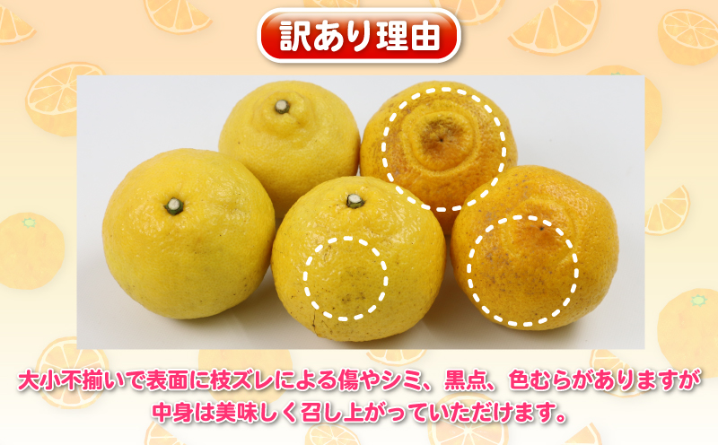 はるか 訳ありみかん 訳あり はるか 5kg 杉本屋 先行予約 わけあり 訳あり 訳あり品 果物 くだもの フルーツ 柑橘 蜜柑 みかん mikan グルメ お取り寄せ デザート ビタミン 愛媛県産 愛媛みかん 愛媛ミカン 産地直送 数量限定 国産 愛媛 宇和島 B010-143008