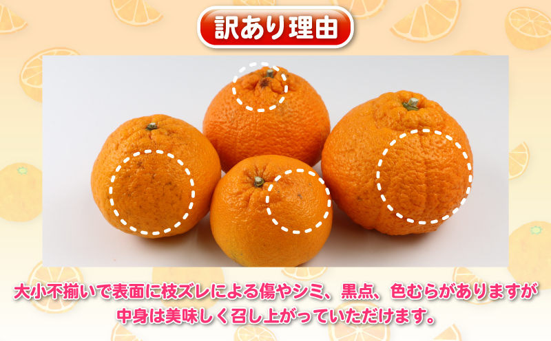 不知火 5kg 訳あり 不知火 杉本屋 先行予約 果物 くだもの わけあり 訳あり品 フルーツ 柑橘 蜜柑 みかん 不知火みかん mikan ミカン グルメ お取り寄せ デザート ビタミン 愛媛県産 愛媛みかん 愛媛ミカン 産地直送 数量限定 国産 愛媛 宇和島 B010-143009