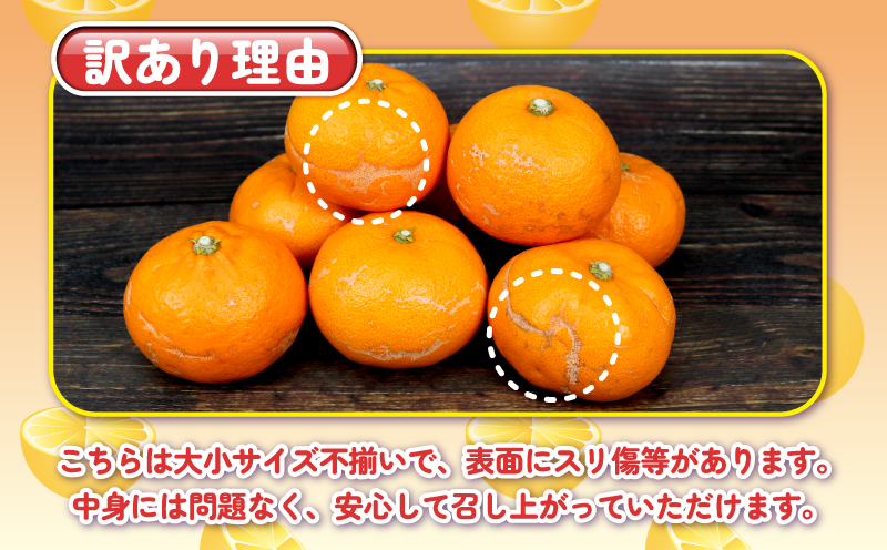 訳あり せとか 約4kg 柑橘の大トロ 杉本屋 先行予約 わけあり 訳アリ 訳あり品 果物 くだもの フルーツ 愛媛ミカン 愛媛蜜柑 愛媛みかん 高級 希少 mikan 蜜柑 みかん ミカン 濃厚 甘み 愛媛県産 柑橘 産地直送 数量限定 国産 愛媛 宇和島 B010-143016