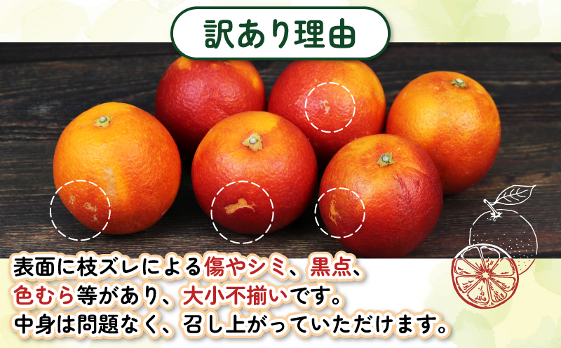 訳あり ブラッドオレンジ 約4kg 杉本屋 モロ タロッコ おまかせ 先行予約 わけあり 訳アリ 訳あり品 果物 くだもの フルーツ 愛媛ミカン 愛媛蜜柑 愛媛みかん 高級 希少 mikan 蜜柑 みかん ミカン 不揃い 愛媛県産 柑橘 産地直送 数量限定 国産 愛媛 宇和島 B010-143023
