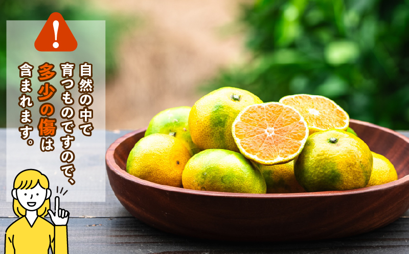 蜜柑 愛媛 極早生 みかん 日南1号 5kg S~L サイズ 混合 先行予約 コルレオファーム 極早生みかん mikan さっぱり 爽やか 甘味 酸味 果物 フルーツ 柑橘 農家直送 産地直送 数量限定 国産 宇和島 B010-145011