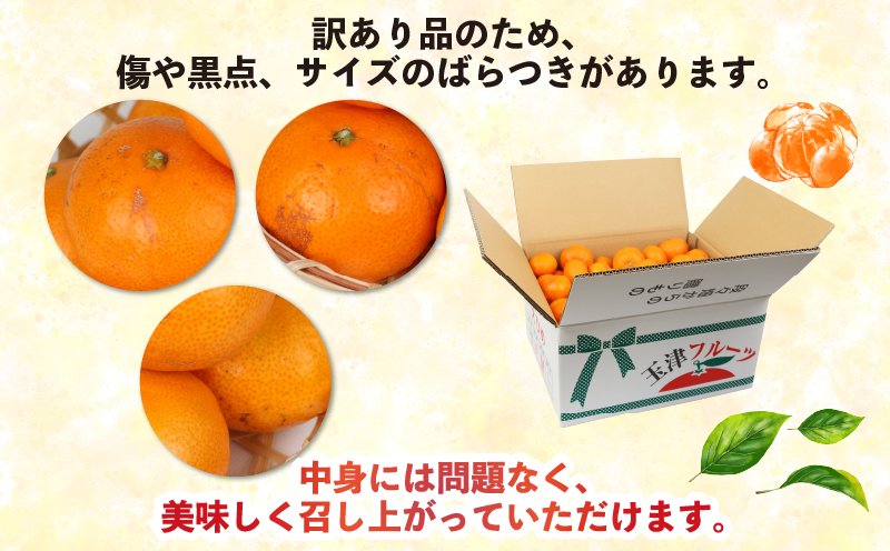 みかん 訳あり 愛媛 みかん 早生 9kg 河野農園 温州みかん 早生みかん 早生温州 温州 蜜柑 mikan 愛媛みかん 愛媛蜜柑 愛媛ミカン 果物 くだもの フルーツ おすすめ 人気のみかん 柑橘 農家直送 産地直送 数量限定 先行予約 国産 愛媛 宇和島 B010-147003