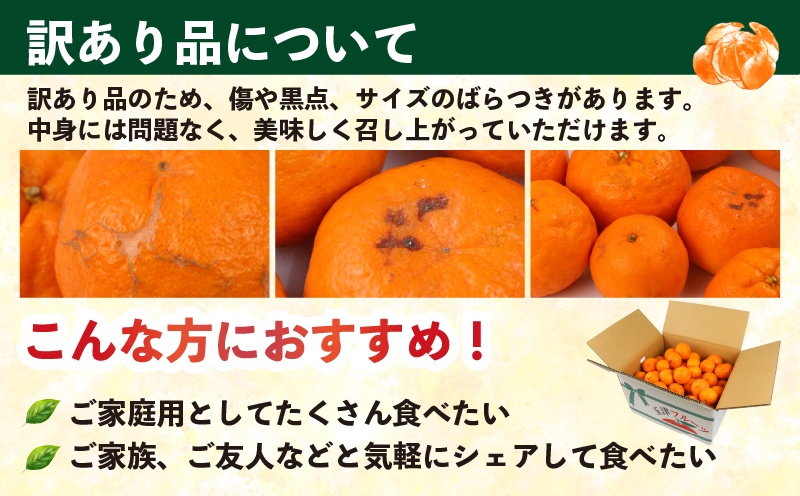 訳あり ポンカン 9kg 河野農園 わけあり みかん 蜜柑 mikan 愛媛みかん 愛媛ミカン 愛媛蜜柑 宇和島みかん ぽんかん 甘い 濃厚 人気 品種 果物 くだもの フルーツ おすすめ 柑橘 農家直送 産地直送 数量限定 先行予約 国産 愛媛 宇和島 B010-147005