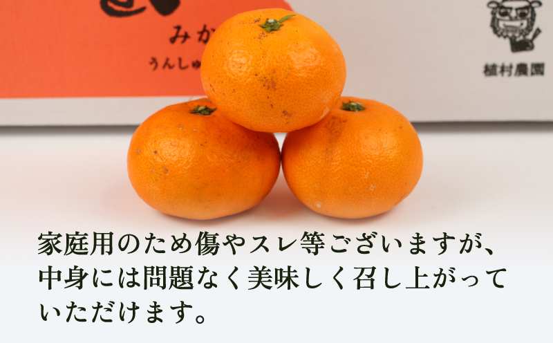田所雅子 「風に吹かれて」 油彩（24.3×66.8cm） 額付き ふるさと納税 愛媛県 宇和島市 愛媛 みかん 南柑20号 10kg ワールド