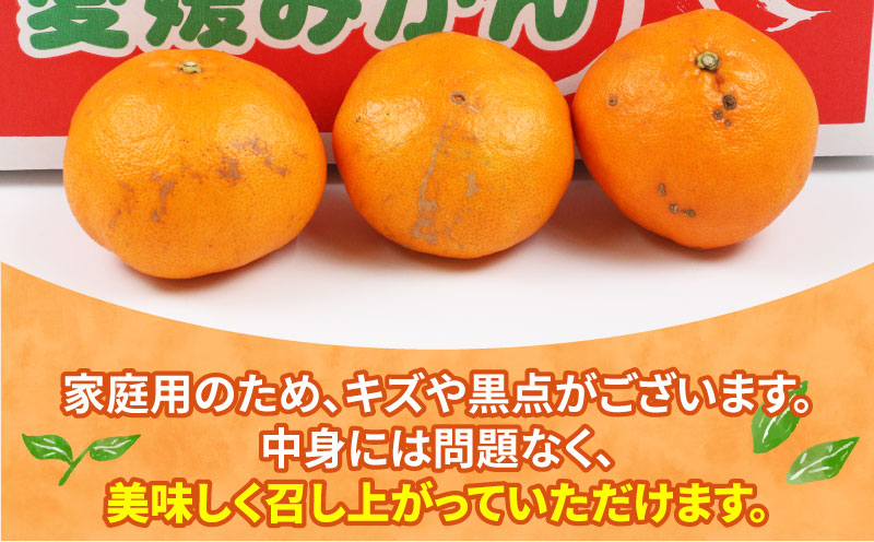 甘平 家庭用 3.5kg 植村農園 先行予約 かんぺい 高級 希少 ブランド シャキシャキ 限定 品種 甘い 果物 フルーツ 柑橘 農家直送 産地直送 数量限定 国産 愛媛 宇和島 B010-153006