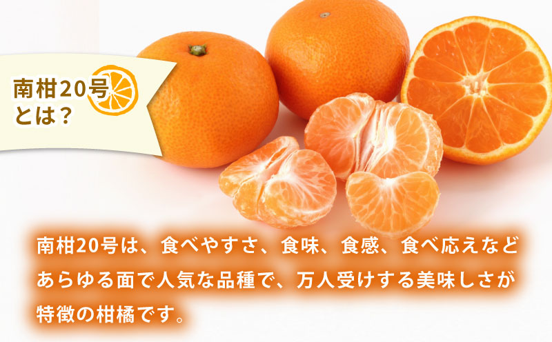 贈答用 南柑20号 5kg 植村農園  温州 温州みかん みかん 果物 くだもの フルーツ 柑橘 蜜柑 贈答 ギフト プレゼント 農家直送 産地直送 数量限定 国産 愛媛 宇和島 B010-153009