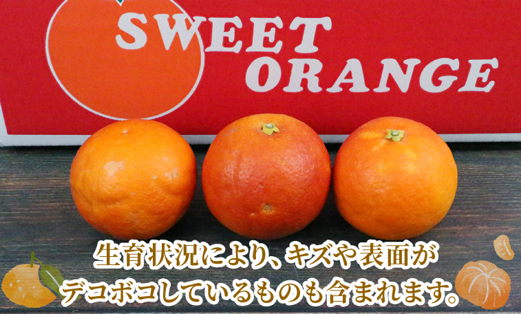 準 贈答用 ブラッドオレンジ 5kg 矢野青果 オレンジ みかん 柑橘 果物 くだもの オレンジフルーツ フルーツ 濃厚 甘い 甘味 蜜柑 準贈答用  贈答品 贈答 ギフト プレゼント 産地直送 農家直送 数量限定 国産 愛媛 宇和島 B010-171020: 宇和島市ANAのふるさと納税