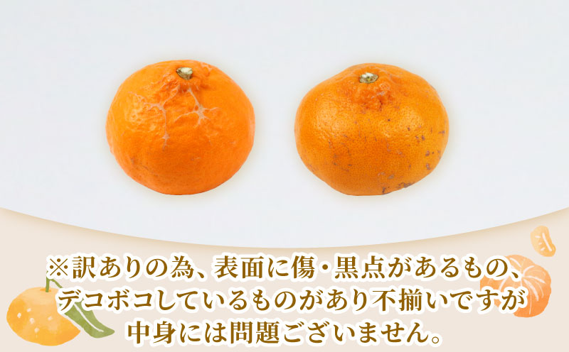 訳あり せとか 矢野青果 5 kg 先行予約 サイズ 不揃い みかん 高級柑橘 柑橘の 大トロ 愛媛ミカン 愛媛蜜柑 mikan 柑橘 果物 くだもの フルーツ 高級 ブランド 濃厚 甘い 甘味 蜜柑 産地直送 数量限定 国産 愛媛 宇和島 B010-171032