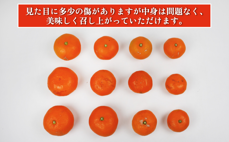 訳あり みかん 南柑20号 9kg まる玉農園 温州みかん 蜜柑 温州 うんしゅう 柑橘 濃厚 甘い mikan 酸味 果物 くだもの 訳アリ 訳あり品 訳有り わけあり 愛媛みかん 愛媛ミカン 愛媛県産 フルーツ 産地直送 農家直送 数量限定 国産 愛媛 宇和島 B010-172001
