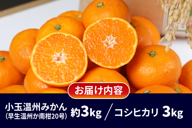 みかん 3kg 特別栽培米 コシヒカリ 伊達米 3kg 詰め合わせ セット ワールドファーマーズ 温州みかん 米 ミカン 蜜柑 mikan 愛媛みかん 愛媛蜜柑 愛媛県産 柑橘 果物 くだもの フルーツ 柑橘 農家直送 産地直送 数量限定 国産 愛媛 宇和島 B012-024003