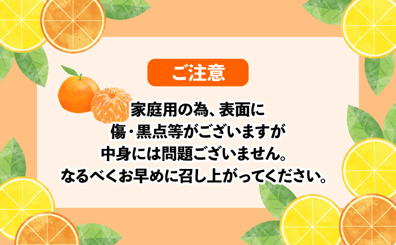 みかん 伊予柑 7.5kg ワールドファーマーズ 先行予約 いよかん 蜜柑 mikan 愛媛みかん 愛媛蜜柑 愛媛ミカン 柑橘 果物 くだもの 愛媛県産 ミカン 宇和島みかん 吉田みかん フルーツ 数量限定 産地直送 農家直送 数量限定 国産 愛媛 宇和島 B012-024006