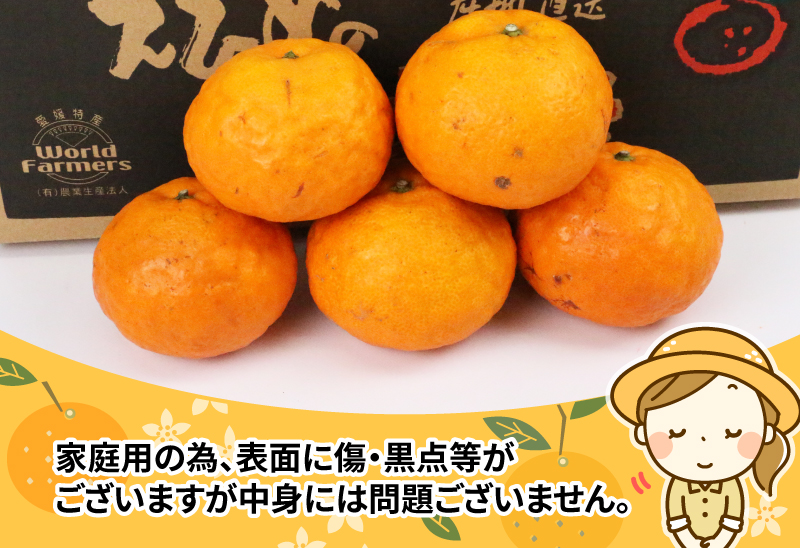 なつみ 家庭用 4kg ワールドファーマーズ 先行予約 初夏のみかん 人気みかん 南津海 マンダリン高級 ブランド 希少 品種 愛媛ミカン 愛媛蜜柑 蜜柑 みかん mikan 果物 くだもの フルーツ 柑橘 数量限定 産地直送 国産 愛媛 宇和島 B012-024013
