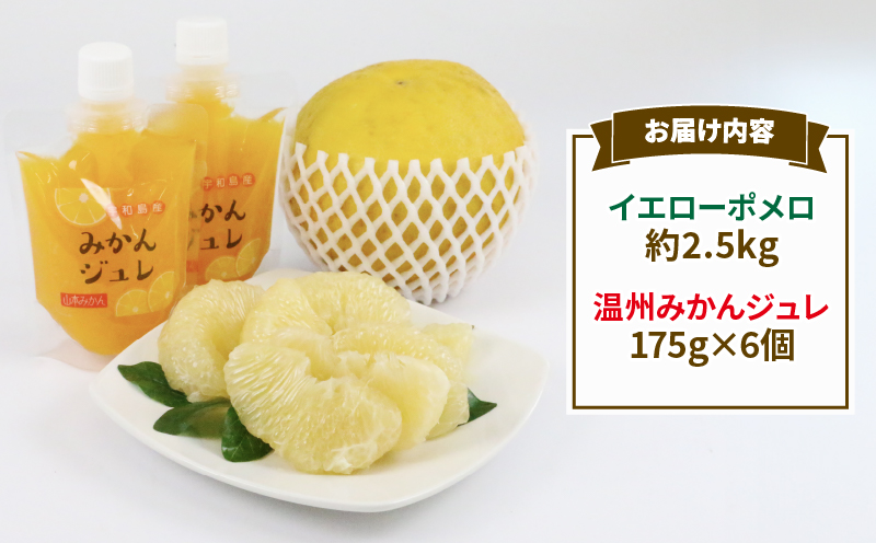 イエローポメロ 2.5kg 4 ～ 5個 温州 みかん ジュレ 6個 詰め合わせ セット 山本みかん 果物 フルーツ 柑橘 国産 愛媛 宇和島 B012-038004