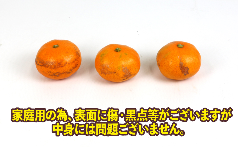愛媛みかん 早生 温州 10kg S~2L サイズ ミックス 家庭用 上杉果樹園 先行予約 温州蜜柑 温州みかん mikan 愛媛ミカン 愛媛蜜柑 みかん ビタミン 温州 蜜柑 果物 くだもの フルーツ 柑橘 農家直送 産地直送 数量限定 国産 愛媛 宇和島 B012-056001
