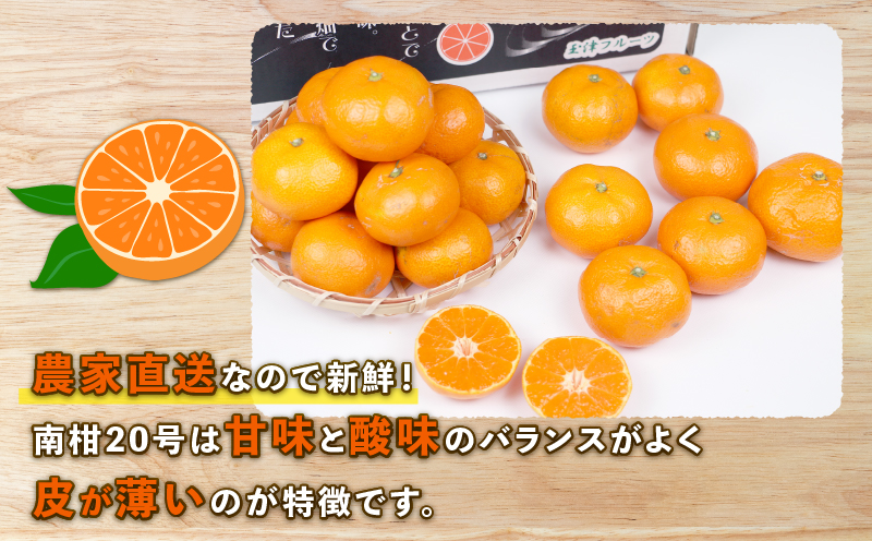 愛媛みかん 南柑20号 10kg S~2L サイズ 家庭用 上杉果樹園 先行予約 温州蜜柑 温州みかん mikan 愛媛ミカン 愛媛蜜柑 愛媛みかん みかん ビタミン 温州 蜜柑 果物 くだもの フルーツ 柑橘 農家直送 産地直送 数量限定 国産 愛媛 宇和島 B012-056002