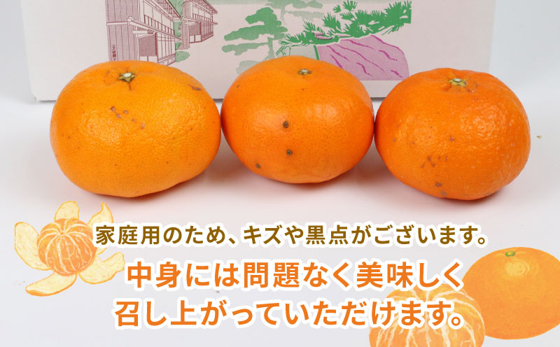 甘平 高級柑橘 2kg 家庭用 ハウス栽培 ハマみかん 先行予約 愛媛県 オリジナル かんぺい 高級 希少 限定 品種 シャキシャキ 甘い 果物 フルーツ 柑橘 みかん  蜜柑 愛媛ミカン 愛媛蜜柑 愛媛みかん 農家直送 産地直送 数量限定 国産 愛媛 宇和島 B012-075002