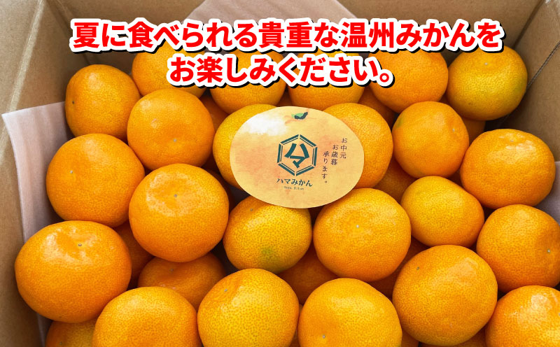 温室みかん 2kg 家庭用 7月発送 先行予約 ハマみかん 温州みかん 温室蜜柑 ハウス栽培 ハウスみかん 興津 早生 ハウス みかん mikan  果物 フルーツ 柑橘 蜜柑 愛媛ミカン 愛媛蜜柑 愛媛みかん 農家直送 産地直送 数量限定 国産 愛媛 宇和島 B012-075004:  宇和島市ANAの ...