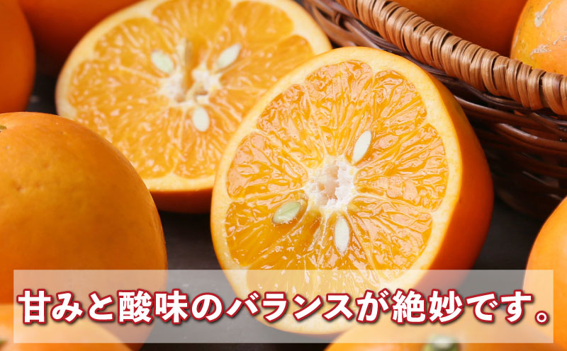 大谷 伊予柑 4kg 家庭用 フレッシュつちやま 先行予約 ダイヤ オレンジ おおたに いよかん 伊予かん 希少 果物 くだもの フルーツ 柑橘 みかん 蜜柑 愛媛みかん 愛媛蜜柑 愛媛ミカン 吉田みかん 宇和島みかん 産地直送 数量限定 国産 愛媛 宇和島 B012-096033