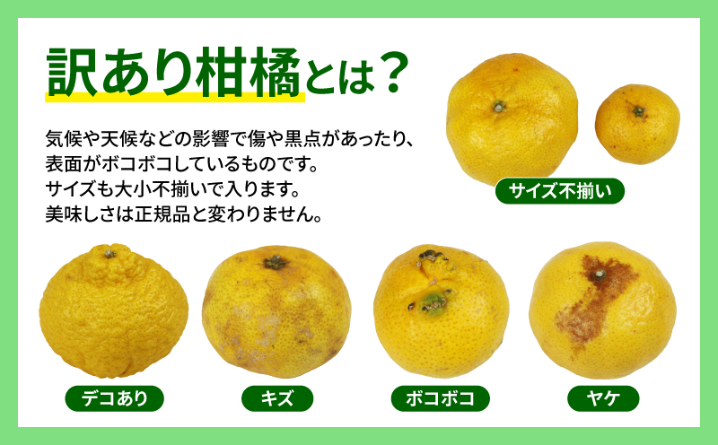 訳あり 媛小春 3kg 先行予約 希少 高級 愛媛県 限定 品種 マル南フルーツ サイズ 不揃い わけあり 愛媛みかん 愛媛ミカン 愛媛蜜柑 mikan 高級柑橘 訳ありみかん 果物 くだもの フルーツ 柑橘 みかん 産地直送 数量限定 国産 愛媛 宇和島 B012-106005