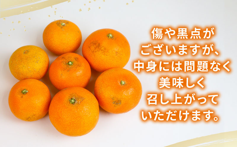 傷あり紅まどんな 愛媛県宇和島市産地 閃か 産地直送