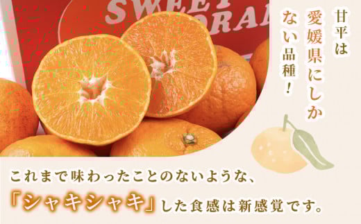 贈答用 甘平 2 ~ 3kg 矢野青果 先行予約 みかん 化粧箱入 高級 希少 限定 品種 シャキシャキ 柑橘 果物 くだもの フルーツ 濃厚 甘い 甘味 蜜柑 贈答品 贈答 ギフト プレゼント 産地直送 農家直送 数量限定 国産 愛媛 宇和島 B012-171010