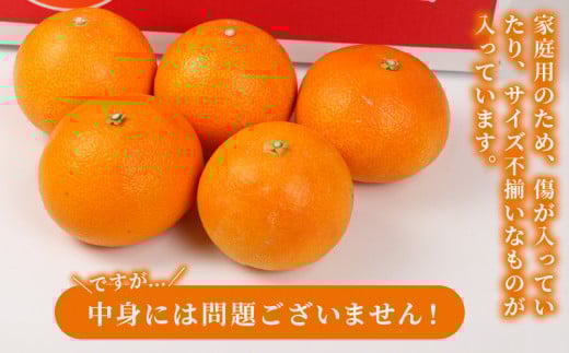 愛果28号 5kg 矢野青果 家庭用 愛媛みかん みかん 柑橘 果物 ミカン あいか 美味しい くだもの フルーツ 高級 ブランド 限定 品種 濃厚 甘い 甘味 蜜柑 ゼリー プルプル サイズ 不揃い ご当地 愛媛ミカン 愛媛蜜柑 愛媛県産 数量限定 国産 愛媛 宇和島 B014-171003