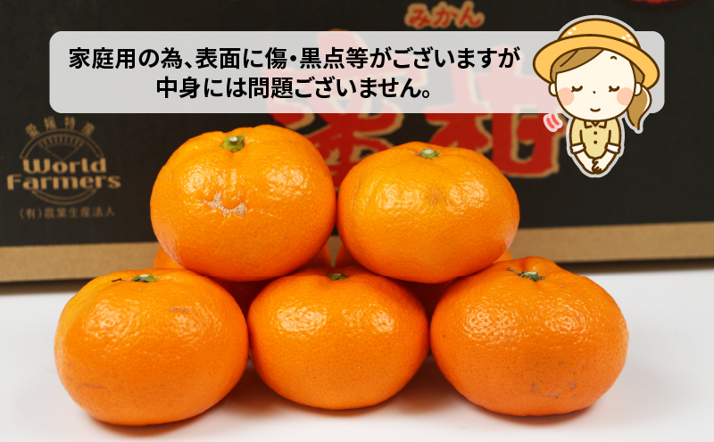愛媛みかん 南柑20号 10kg 甘い 美味しい ワールドファーマーズ 先行予約 温州 みかん うんしゅう 温州みかん 愛媛ミカン 愛媛蜜柑 愛媛県産みかん みかん 蜜柑 mikan 果物 くだもの フルーツ 柑橘 数量限定 産地直送 国産 愛媛 宇和島 B015-024002